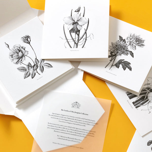 *Special Offer* The Garden of Miss Joaquim Cards: Buy Any Two Boxes of Greeting Cards